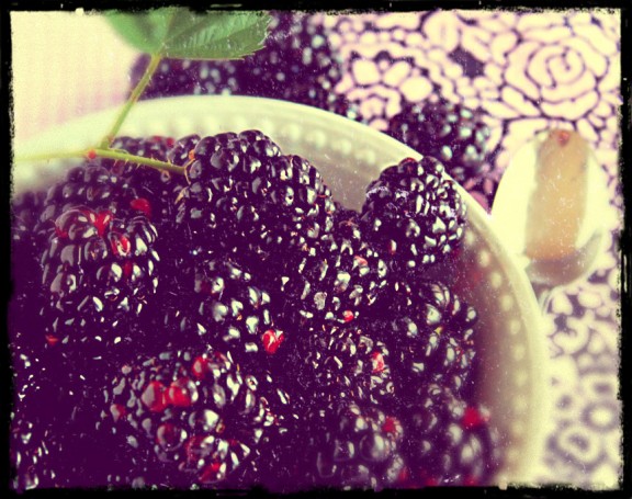 Blackberries